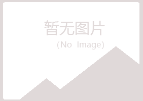 乌兰察布女孩能源有限公司